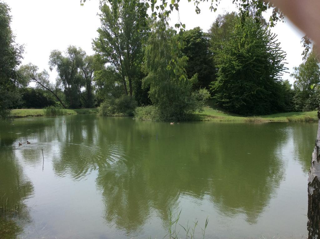 Camping du RIED Boofzheim Bagian luar foto